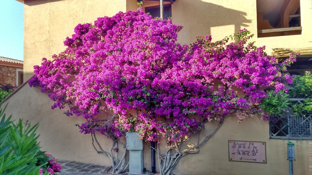 Apartment Dany's In Baia De Bahas Marinella (Sardinia)